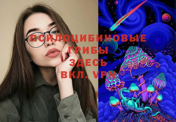 ГАЛЛЮЦИНОГЕННЫЕ ГРИБЫ Заволжск